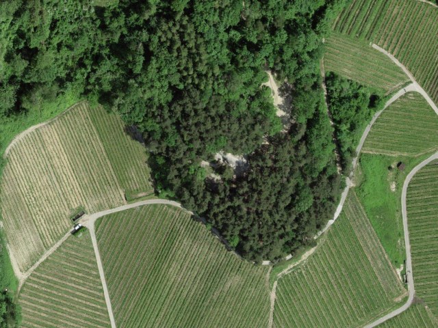 The Grottos of Mont-Vully