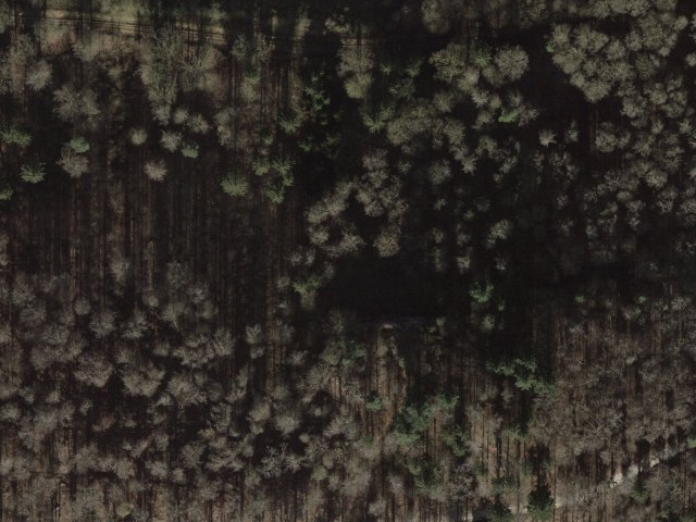 Haardfels
