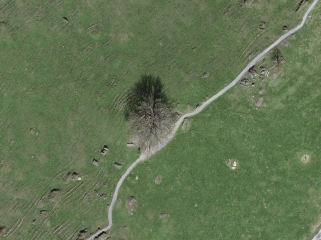 Seebodenalp 40, 6403 Küssnacht, Switzerland