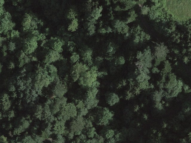 Untere Waldstrasse, 6037 Root, Switzerland