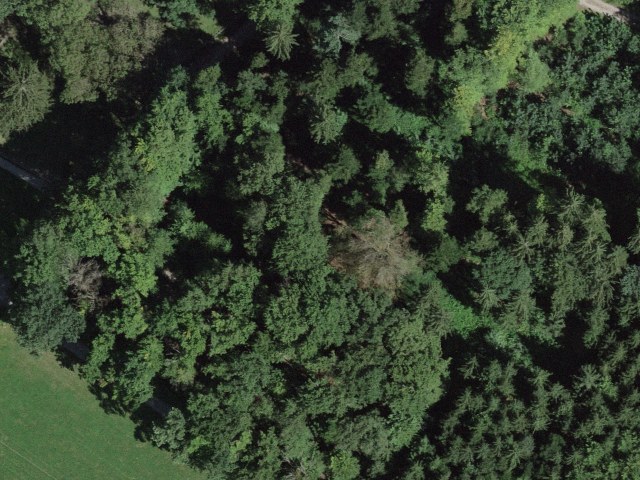Tierparkweg, 5622 Waltenschwil, Switzerland