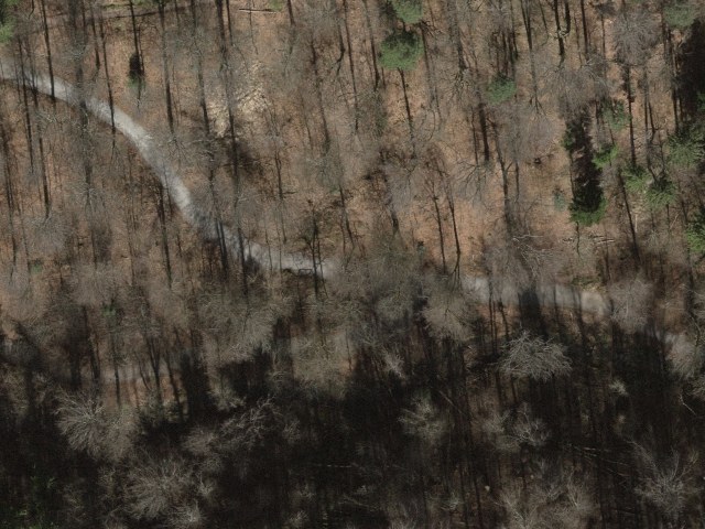 Elefantenbach 3