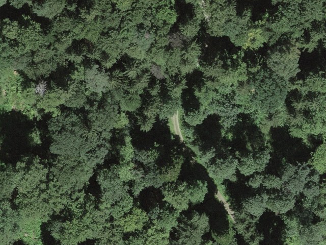 Ebnet, above