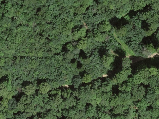 South slope of Gisliflue