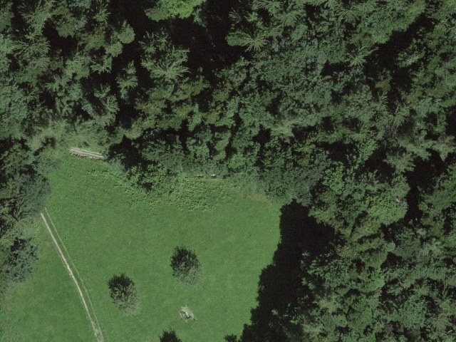 Steigbüchel, Walzenhausen