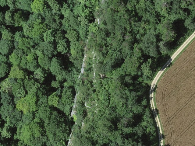 Allmendweg, 4202 Duggingen, Switzerland