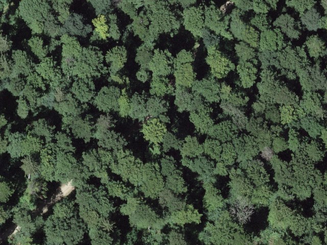Linnerberg