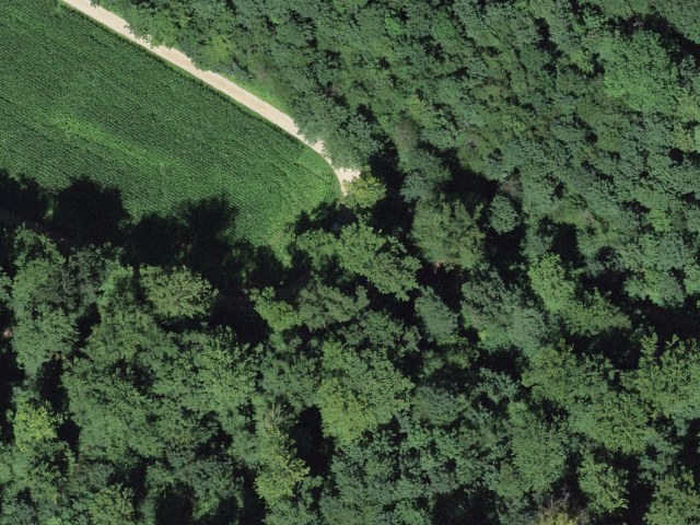 Sinnespfad Gipf- Oberfrick