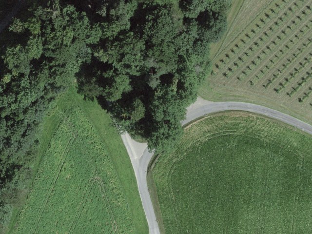 Lindenstrasse 24, 9213 Bischofszell, Switzerland