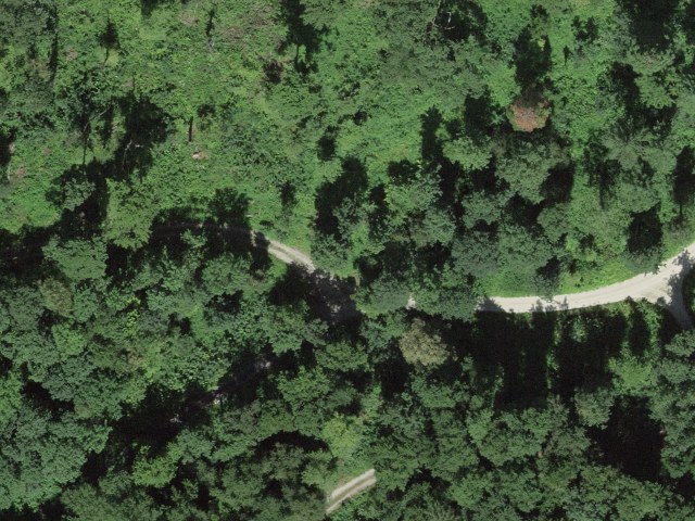Schluchenstrasse