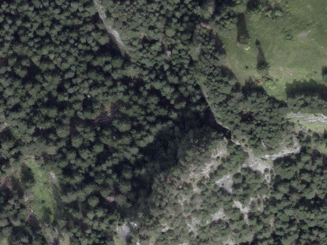 Schinschlucht