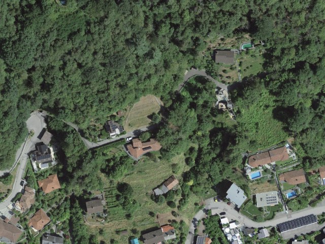 Escursione facile da Brione s. Minusio passando da Ronco di Bosco