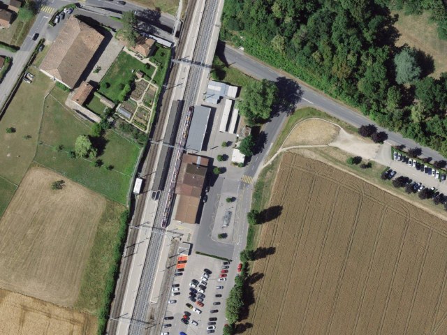 Wanderung ab Coppet über Versoix