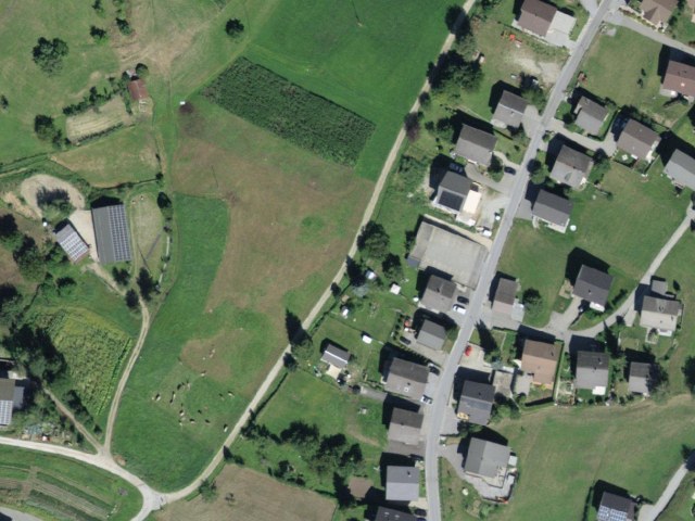 Vandretur fra Ernen via Steinhaus