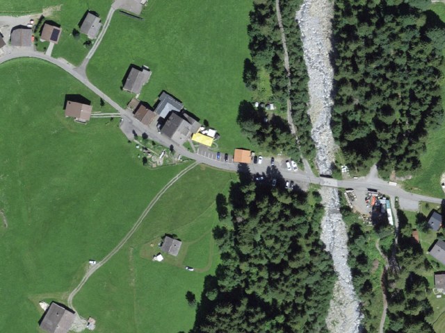 Schärmtanne - Uelisgraben