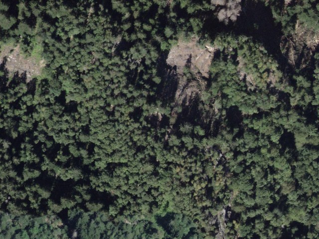 Bosco d'Öss – Freggio