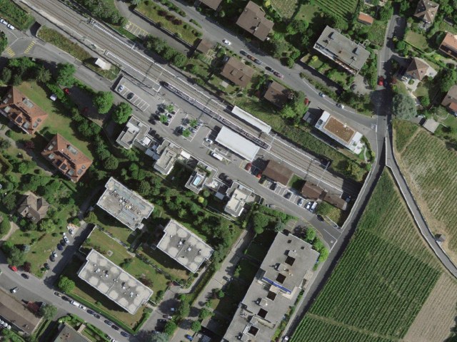 Escursione facile da Lutry passando da Montagny