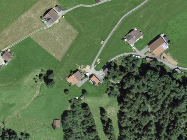Rinderwald - Otterealp