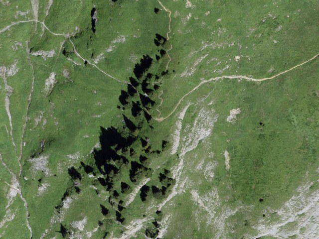 Bryndli – Spilboden