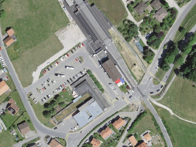 Escursione da Gruyères passando da Moléson-sur-Gruyères