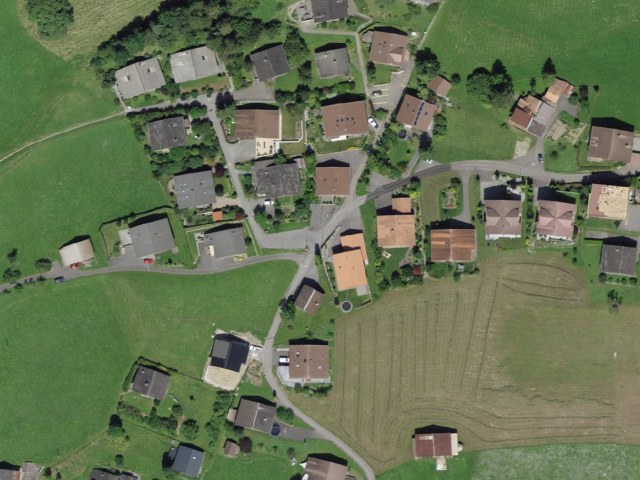 Wychel – Bachsbort