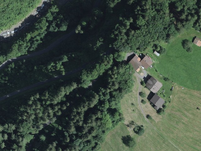 Ried - Saxetwald