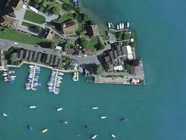 Escursione facile da Spiez passando da Sodmatte
