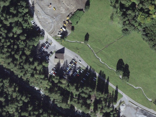 Herrenrütiboden - Alpenrösli