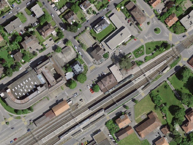 Senderismo fácil desde Murten/Morat hasta Avenches