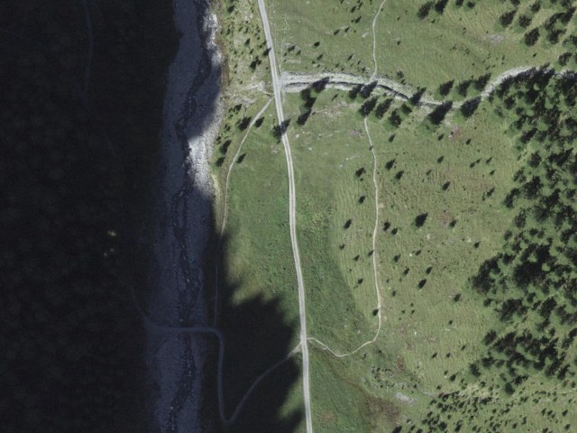 Bergwald Lehrpfad