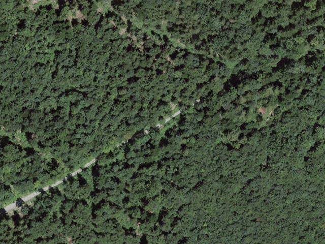 Bürgenberg – Seewliweid