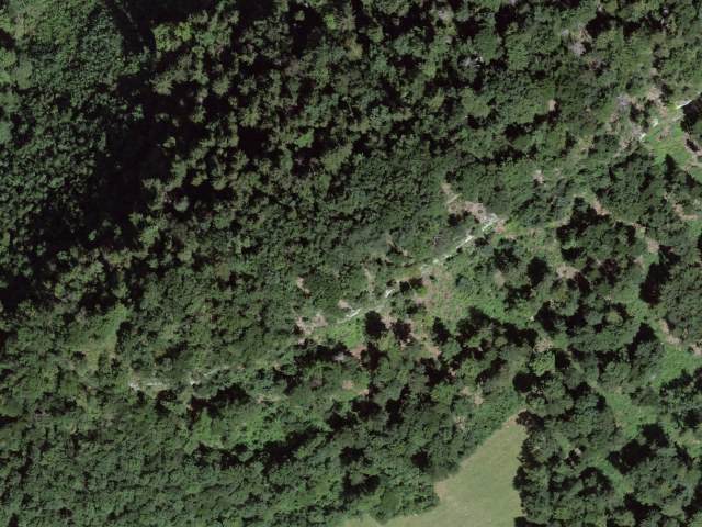 Bürgenberg – Seewligrat