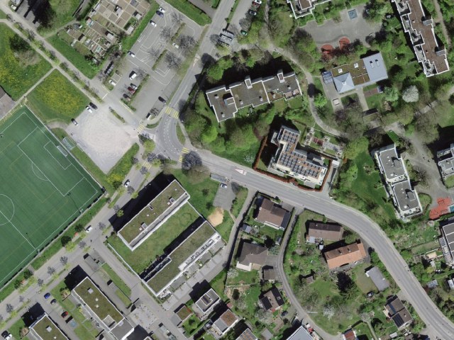 Randonnée facile depuis Zollikofen par Herrenvogel