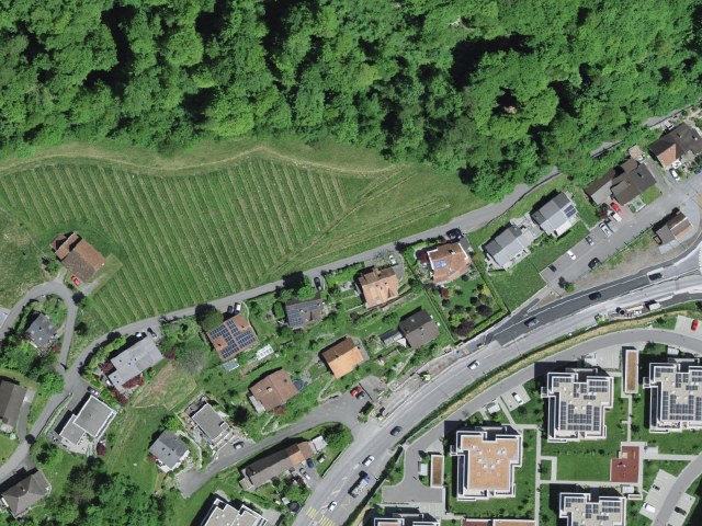 Randonnée facile depuis Sargans par Tug
