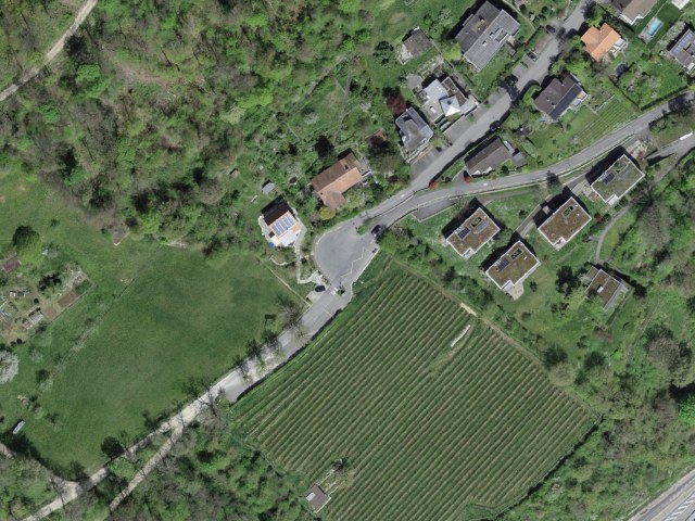 เดินป่า จาก Biel/Bienne ไป La Neuveville