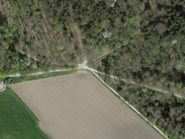 Ried – Biel Friedhof