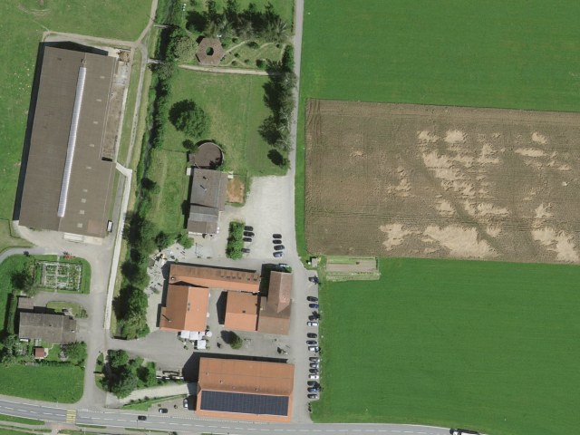 Randonnée facile depuis Alberswil par Kastelen
