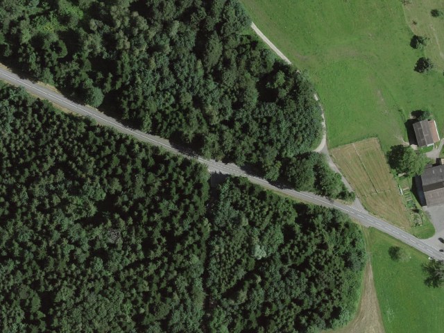 Waldhaus – Gormund