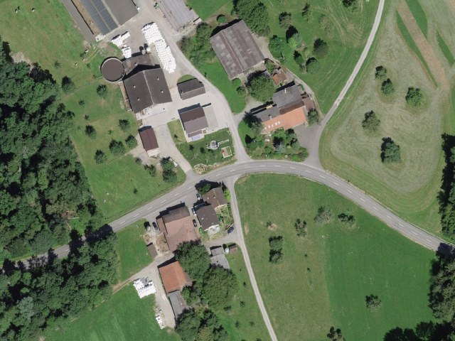 Boswil - Brandholz