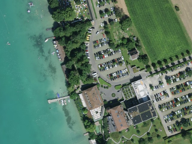 Strandbad Tennwil - Seerose