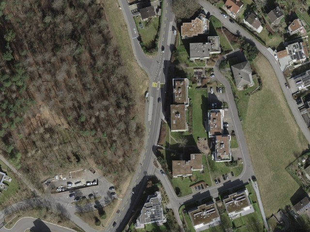 Let topvandretur fra Thalwil via Im Ebnet