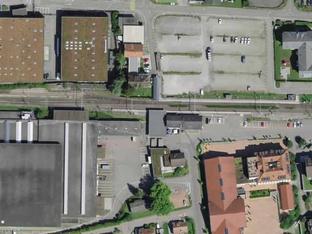 Könnyű túra: Safenwil (körtúra) (Chatzestrick érintésével)