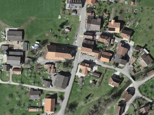 Berlincourt - La Racine