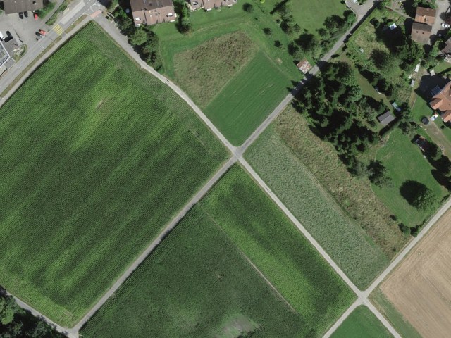 徒步环线：Oberwil-Lieli，经Stockweid