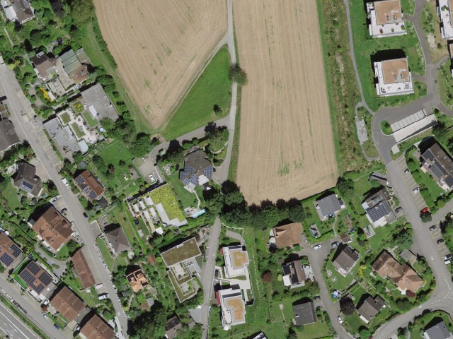 轻松徒步：Bibenlos-Sonnenhof – Erdmannlistein，经Bremgarten-Zufikon