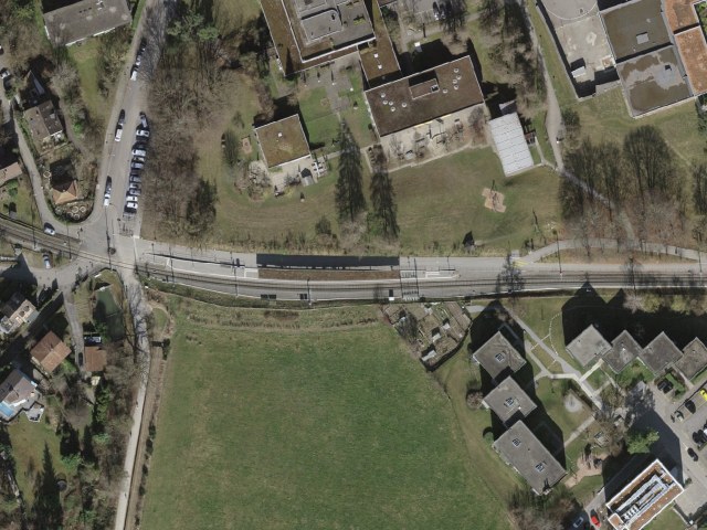 Escursione da Zürich Triemli passando da Uetliberg