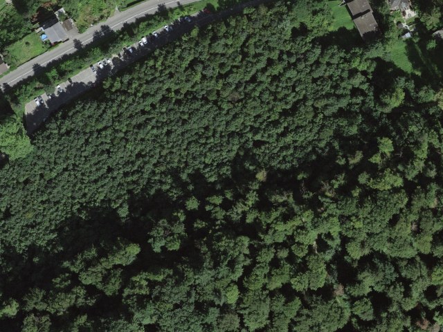Escursione facile in vetta da Aarau passando da Haseberg