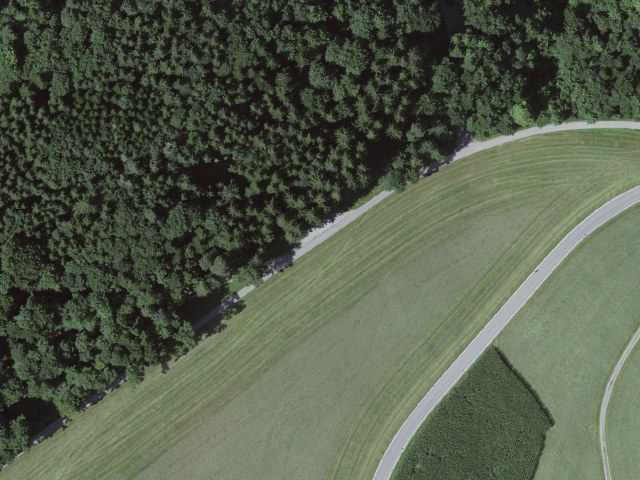 Caminhada fácil a partir de Wolfertswil passando por Alenschwanden