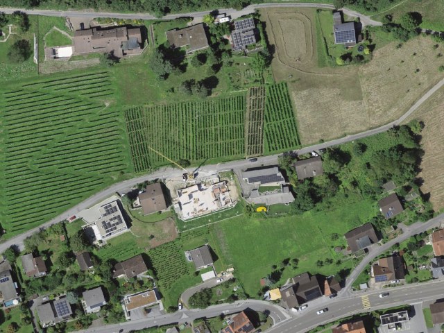 Easy hike from Balgach via Kirchenwald
