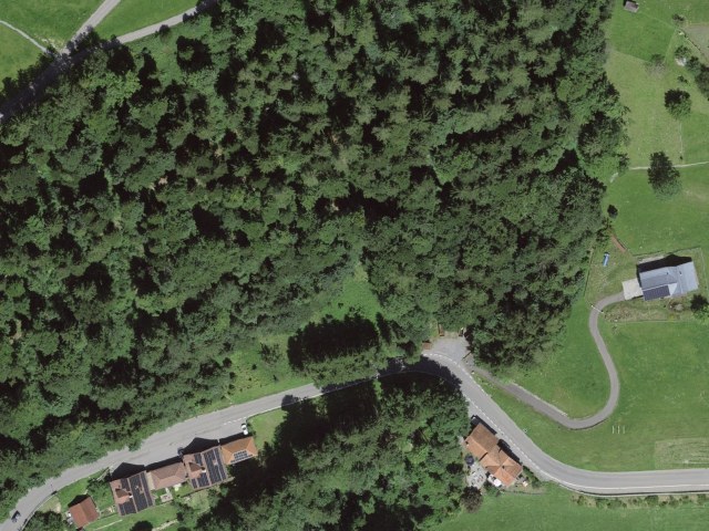 Senderismo desde Rehetobel por Oberach